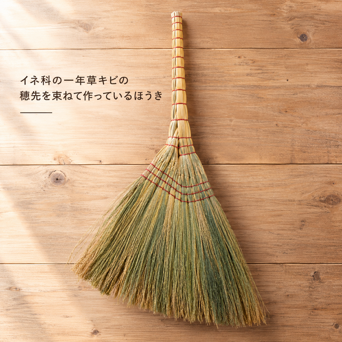 キビ箒（座敷ぼうき）【個人向け】
