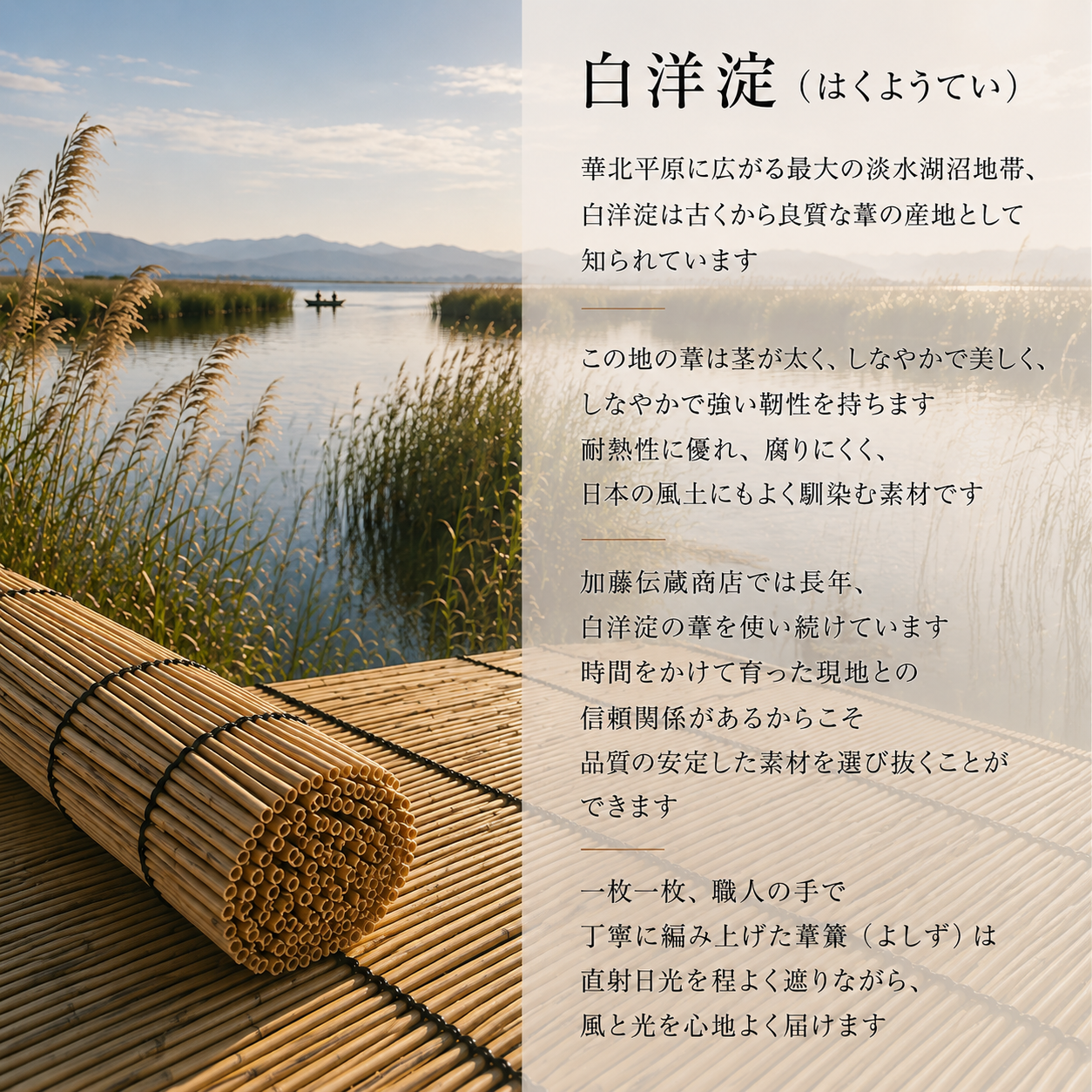 白洋淀 よしず素材紹介