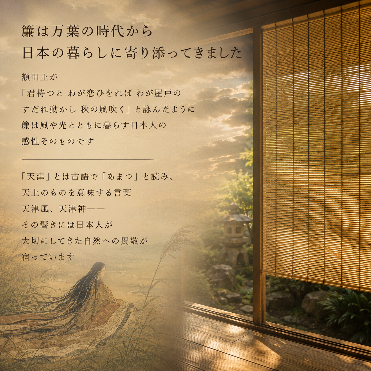 特撰天津すだれ サブ3
